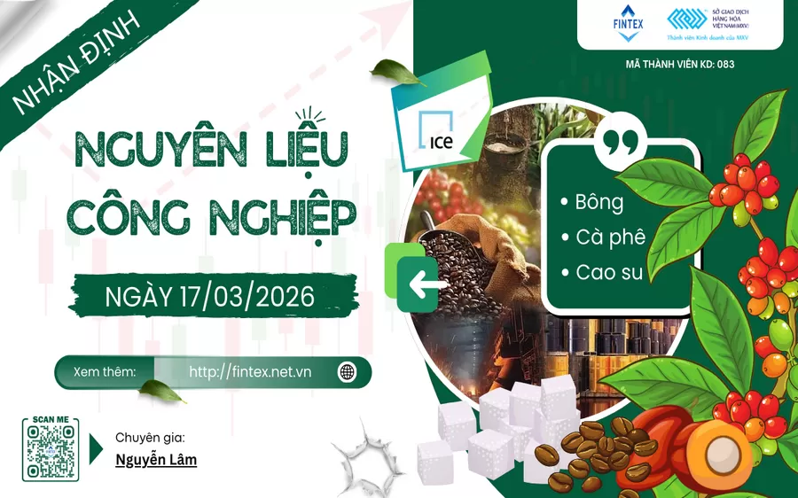 NHẬN ĐỊNH NGUYÊN LIỆU - CÔNG NGHIỆP NGÀY 17/03/2026